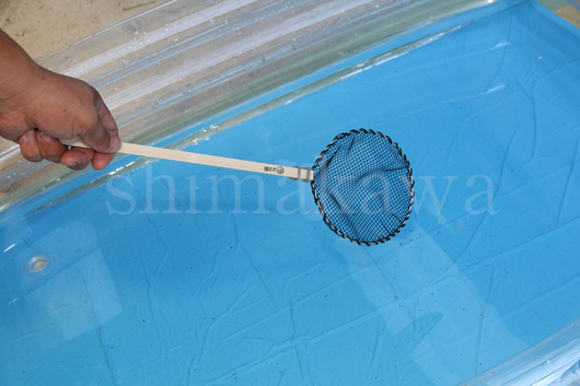 �������Z�b�g